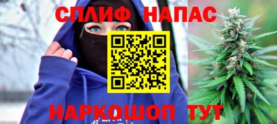 дмт Гатчина