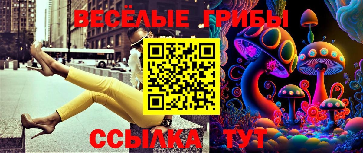 Галлюциногенные грибы ЛСД  Вход с VPN  Минеральные Воды 